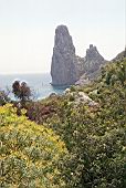 Pedralonga 